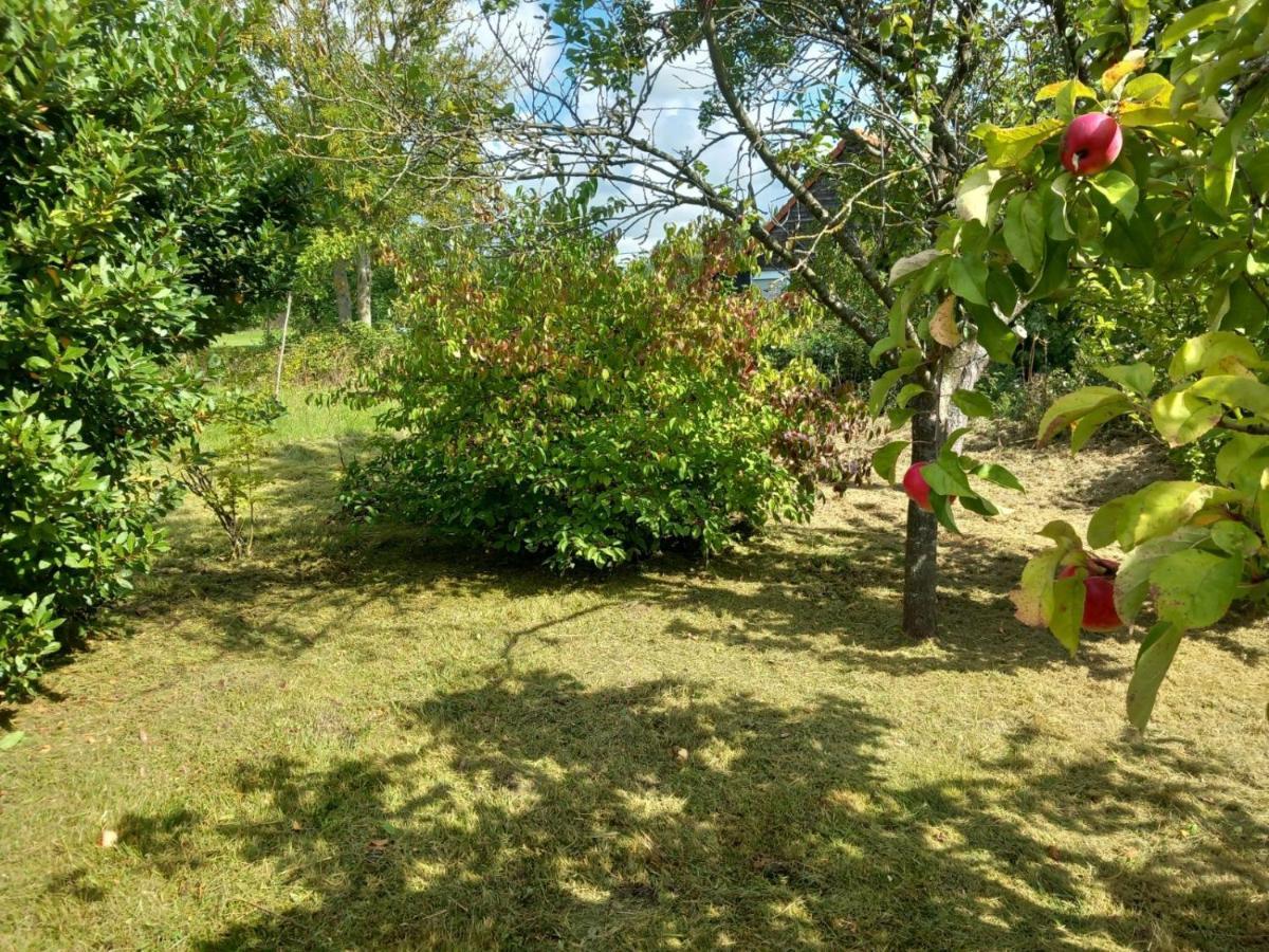 Le Jardin Secret Villa แซ็งดอแมร์ ภายนอก รูปภาพ